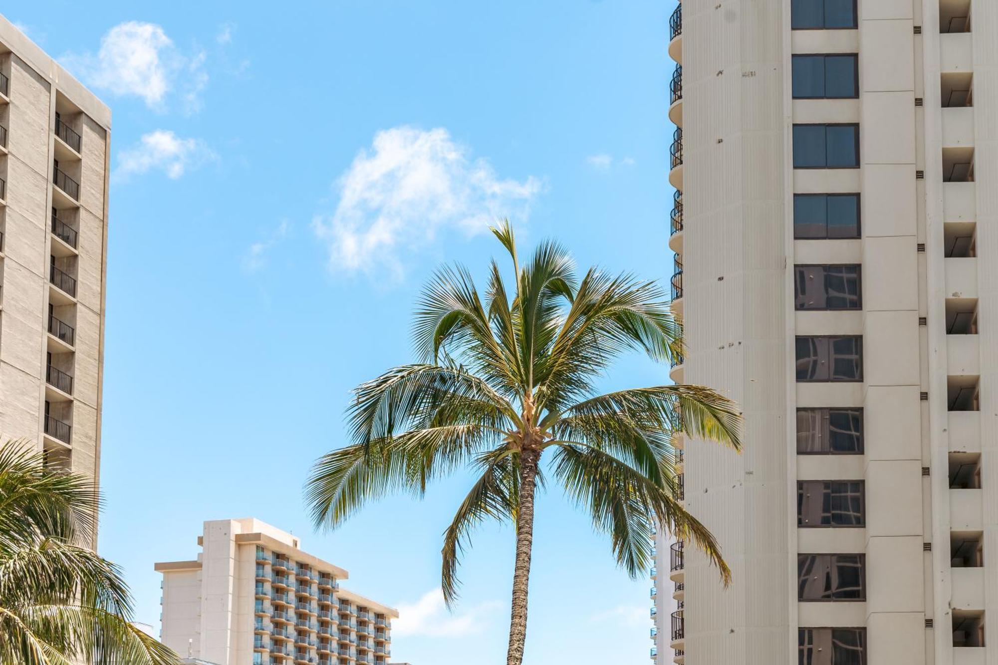 Waikiki Banyan 1Br With Great Ocean Views, Steps To Beach & Parking! Honolulu Exterior foto