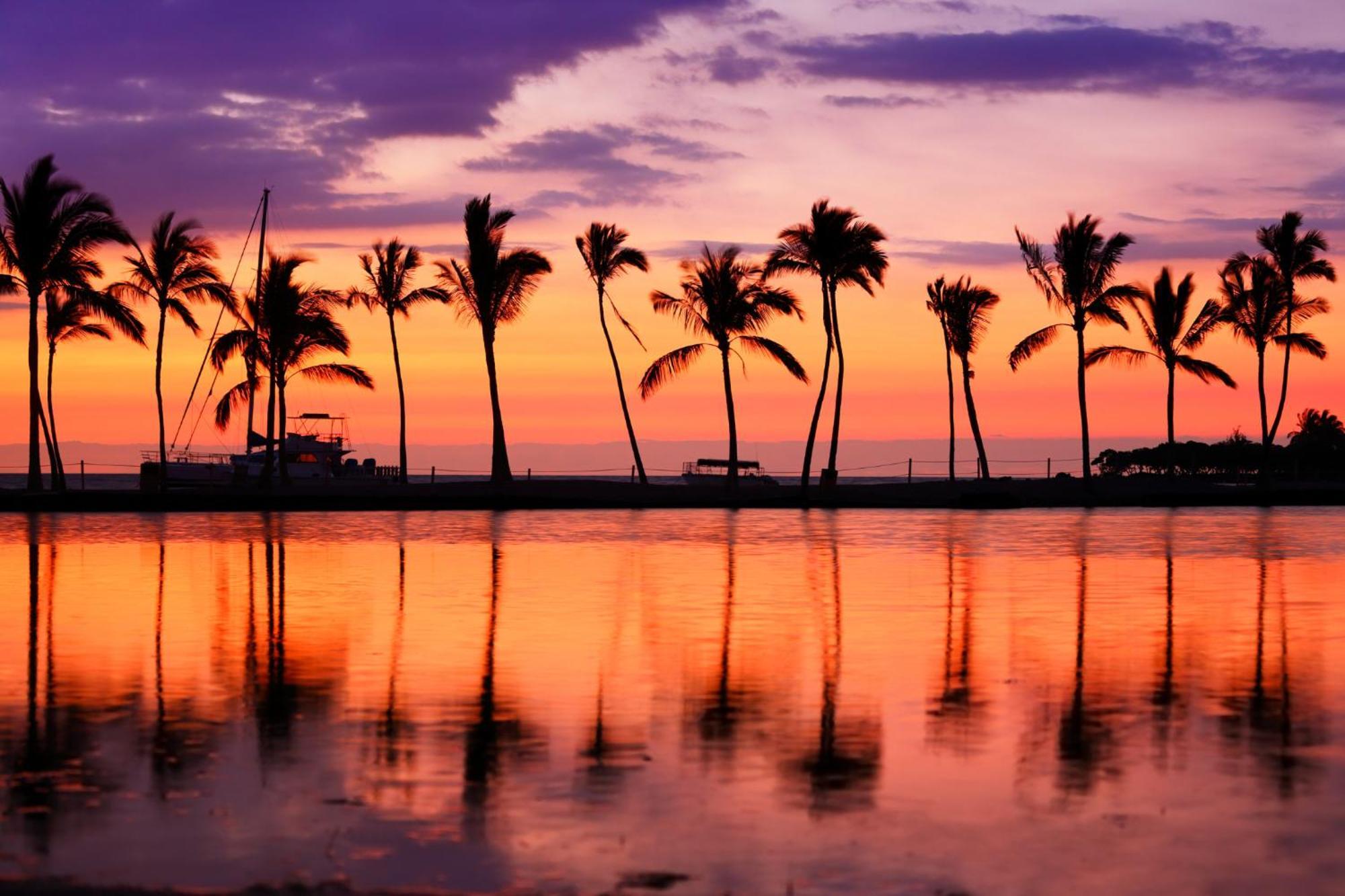 Waikiki Banyan 1Br With Great Ocean Views, Steps To Beach & Parking! Honolulu Exterior foto